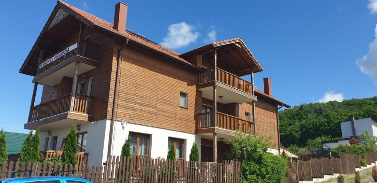Casa Paduricea Hotel Dezmir Luaran gambar