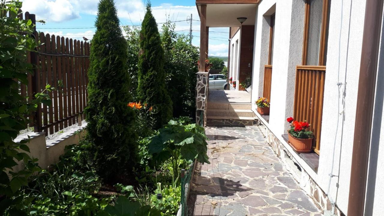 Casa Paduricea Hotel Dezmir Luaran gambar