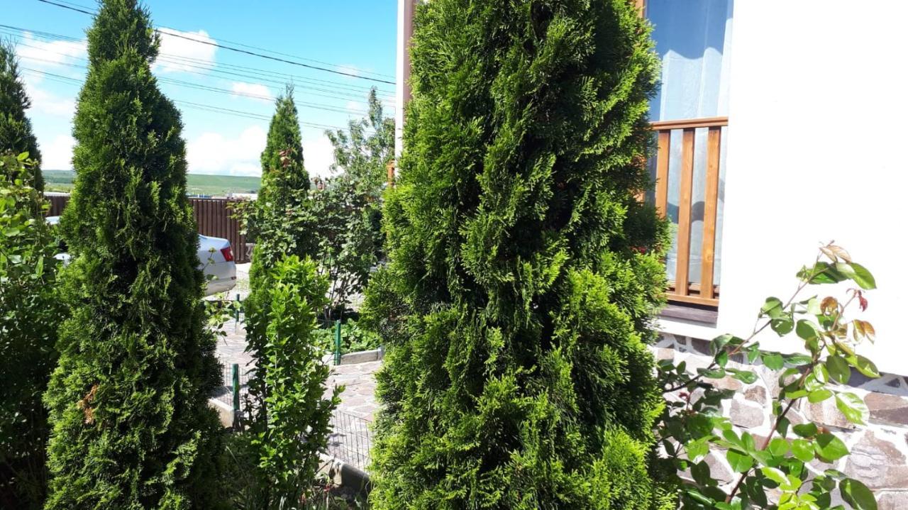 Casa Paduricea Hotel Dezmir Luaran gambar