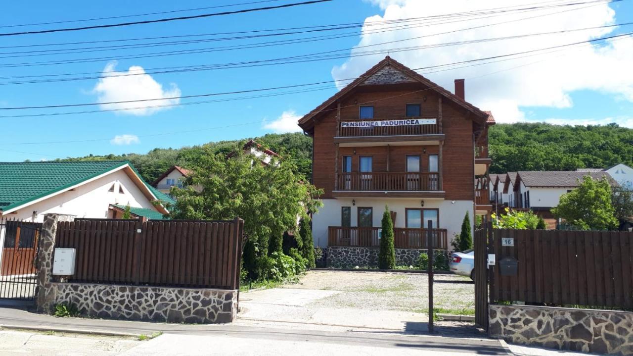 Casa Paduricea Hotel Dezmir Luaran gambar