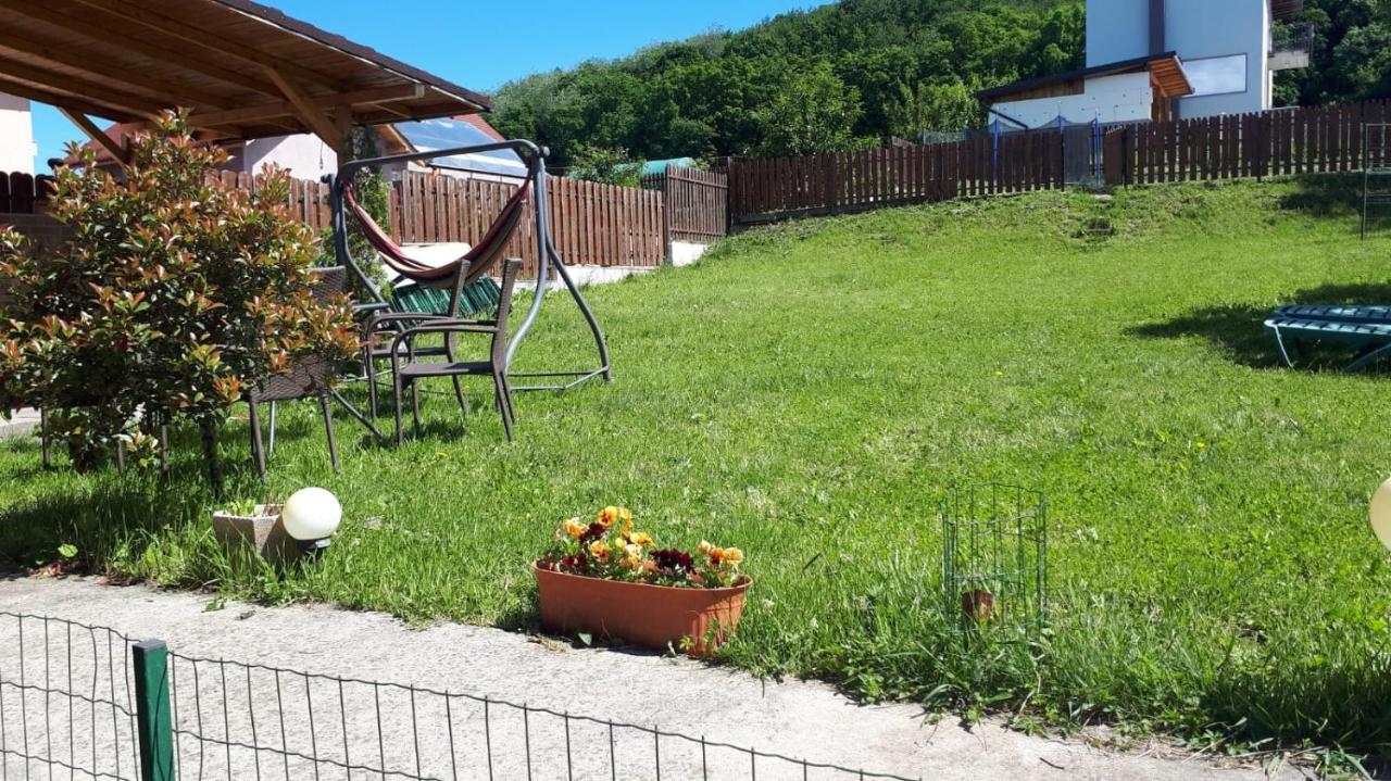 Casa Paduricea Hotel Dezmir Luaran gambar