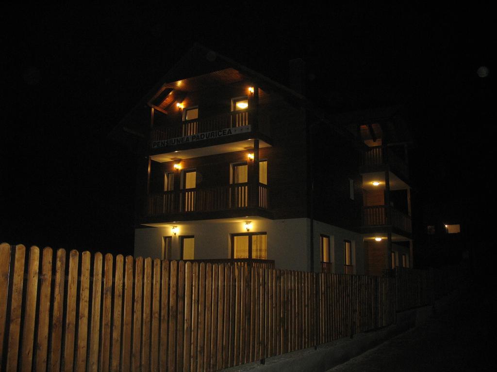 Casa Paduricea Hotel Dezmir Luaran gambar